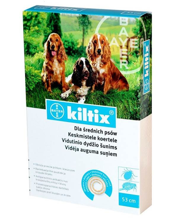 pet shop in mumbai, Nutritional supplements and treats for pets